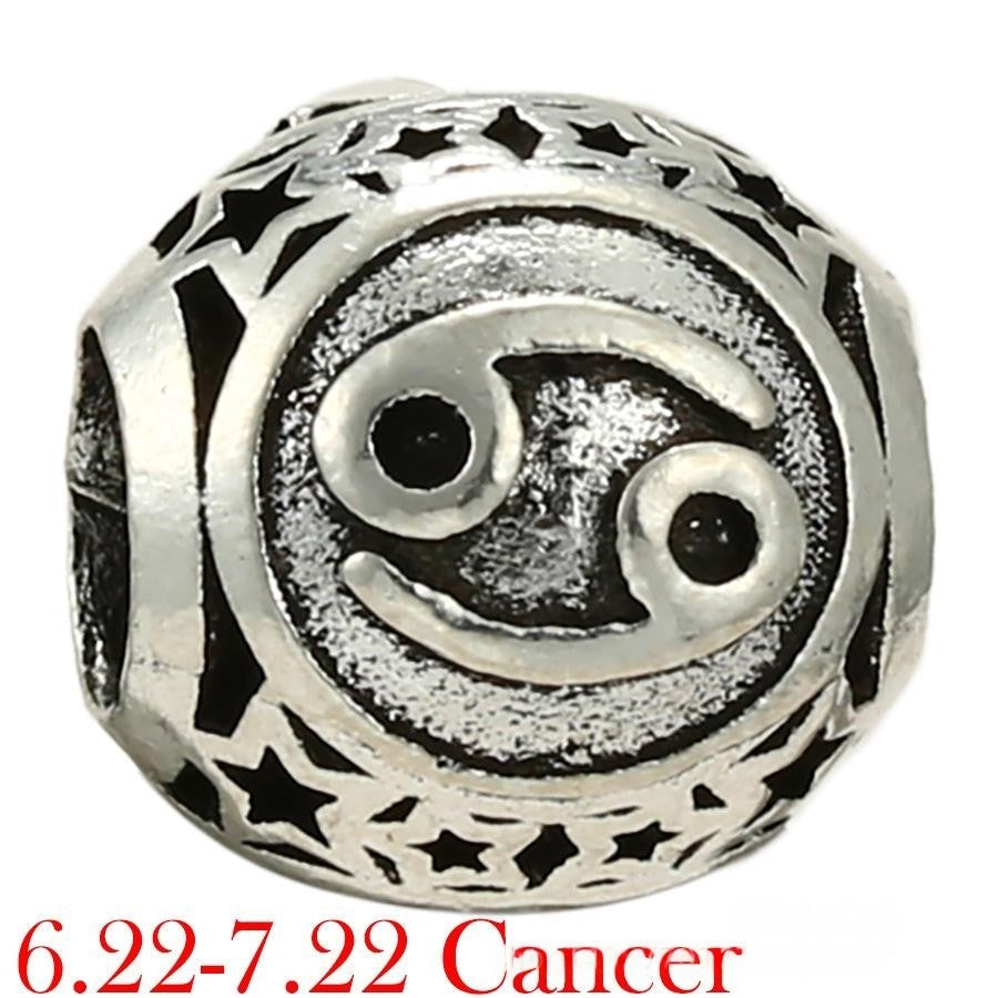 Zodiac Beads DIY Handmade Jewelry Accessories Sign of the Zodiac Star sign