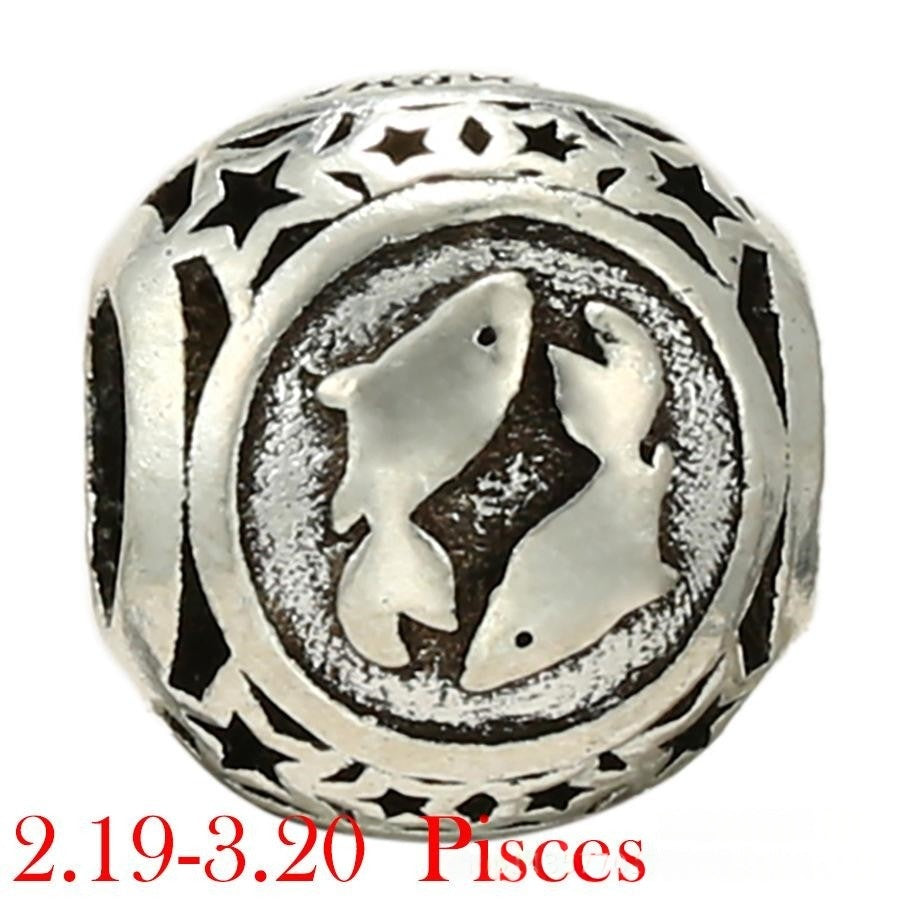 Zodiac Beads DIY Handmade Jewelry Accessories Sign of the Zodiac Star sign