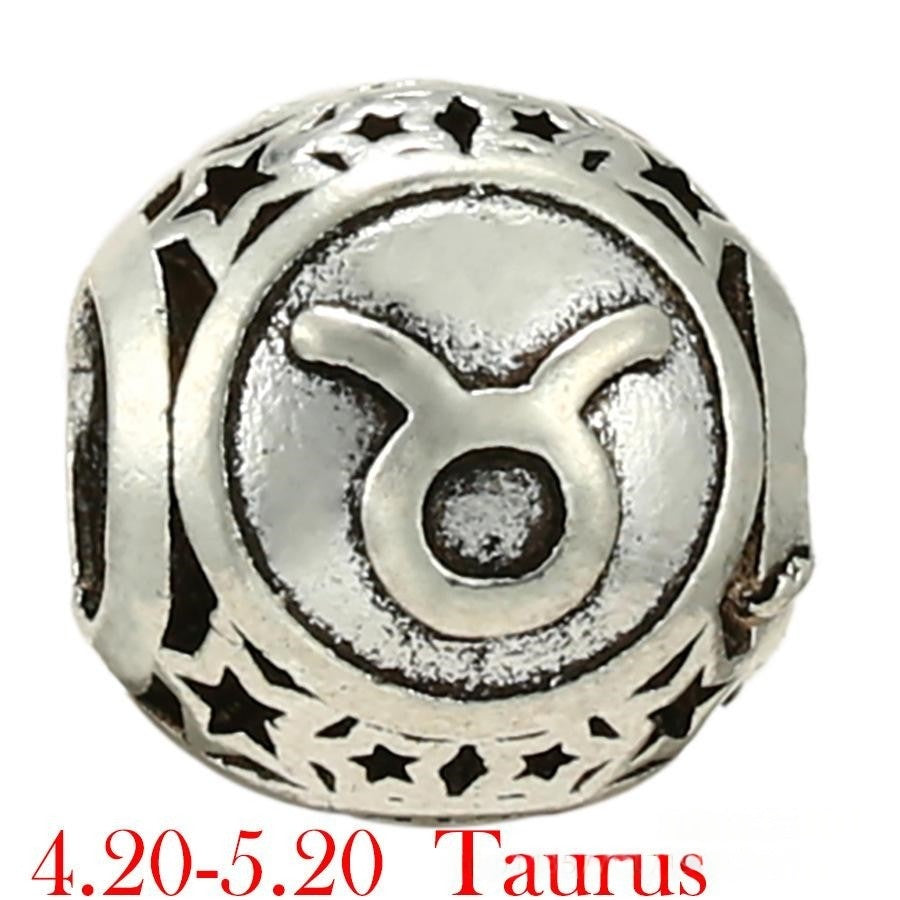 Zodiac Beads DIY Handmade Jewelry Accessories Sign of the Zodiac Star sign